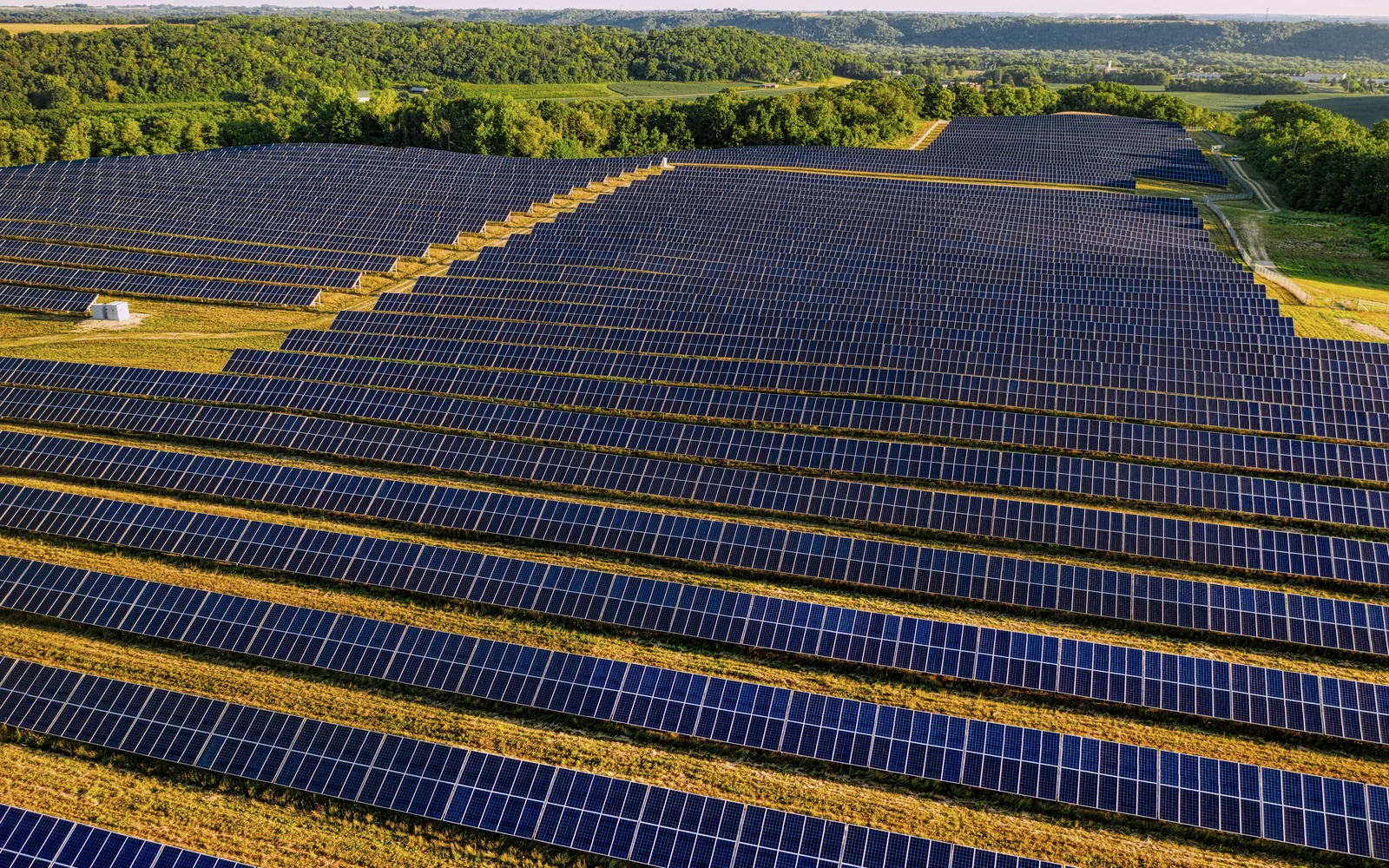 Rows of solar panels beside woodland.
